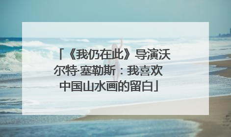 《我仍在此》导演沃尔特·塞勒斯：我喜欢中国山水画的留白