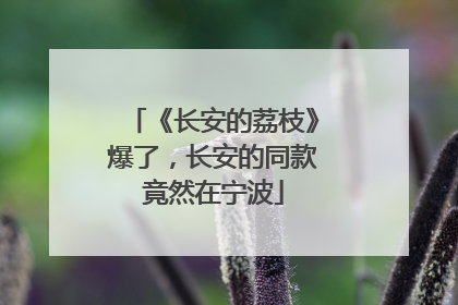 《长安的荔枝》爆了，长安的同款竟然在宁波