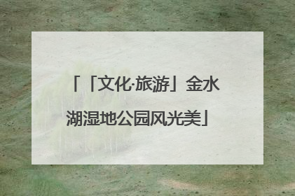 「文化·旅游」金水湖湿地公园风光美