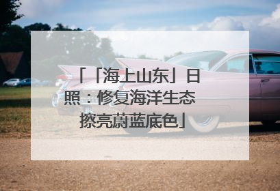 「海上山东」日照：修复海洋生态 擦亮蔚蓝底色