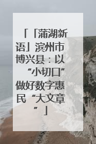「蒲湖新语」滨州市博兴县：以“小切口”做好数字惠民“大文章”