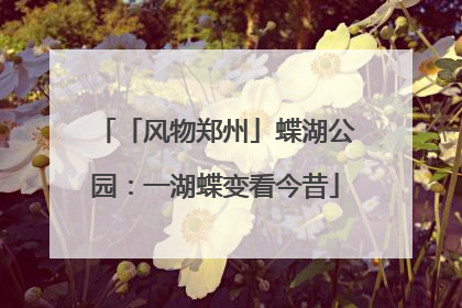 「风物郑州」蝶湖公园：一湖蝶变看今昔