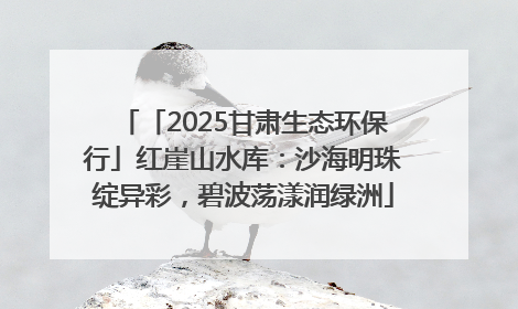 「2025甘肃生态环保行」红崖山水库：沙海明珠绽异彩，碧波荡漾润绿洲