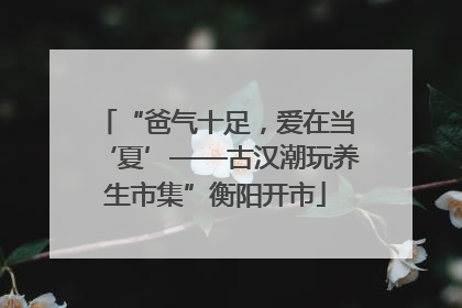 “爸气十足,爱在当‘夏’——古汉潮玩养生市集”衡阳开市