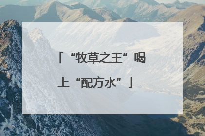 “牧草之王”喝上“配方水”