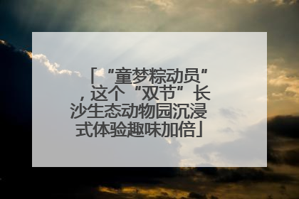 “童梦粽动员”，这个“双节”长沙生态动物园沉浸式体验趣味加倍
