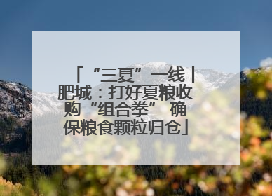 “三夏”一线丨肥城：打好夏粮收购“组合拳” 确保粮食颗粒归仓