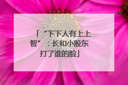 “下下人有上上智”：长和小股东打了谁的脸