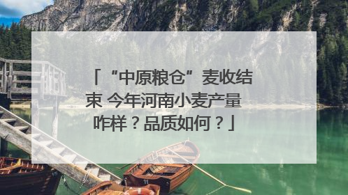 “中原粮仓”麦收结束 今年河南小麦产量咋样？品质如何？