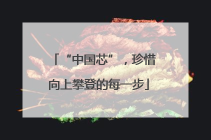 “中国芯”，珍惜向上攀登的每一步