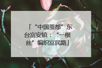“中国茧都”东台富安镇：“一根丝”编织富民路
