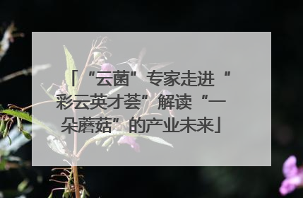 “云菌”专家走进“彩云英才荟”解读“一朵蘑菇”的产业未来