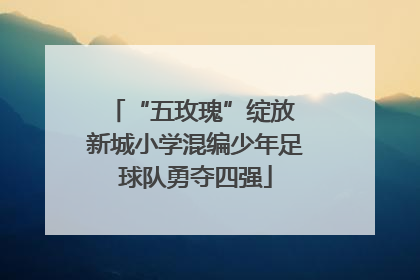 “五玫瑰”绽放 新城小学混编少年足球队勇夺四强