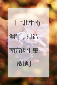 “北牛南调”，打造南方肉牛集散地