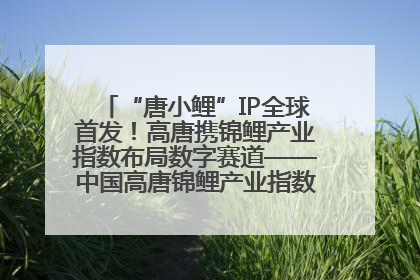 “唐小鲤”IP全球首发！高唐携锦鲤产业指数布局数字赛道——中国高唐锦鲤产业指数暨“唐小鲤”IP全球首发仪式在杭州举行