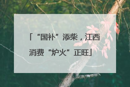 “国补”添柴，江西消费“炉火”正旺