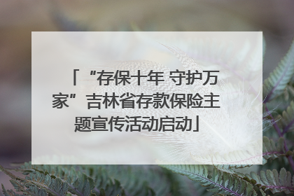 “存保十年 守护万家”吉林省存款保险主题宣传活动启动