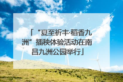 “夏至祈丰·稻香九洲”插秧体验活动在南昌九洲公园举行