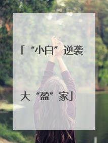 “小白”逆袭大“盈”家