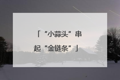 “小蒜头”串起“金链条”