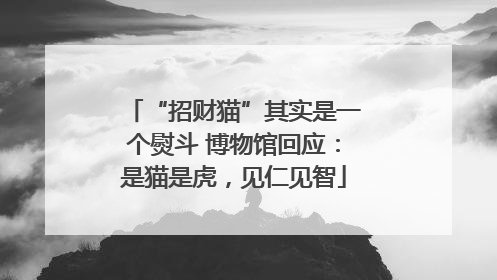 “招财猫”其实是一个熨斗 博物馆回应：是猫是虎，见仁见智