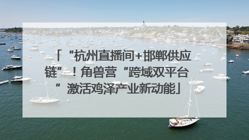 “杭州直播间+邯郸供应链”！角兽营“跨域双平台”激活鸡泽产业新动能
