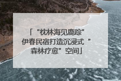 “枕林海见鹿踪” 伊春民宿打造沉浸式“森林疗愈”空间