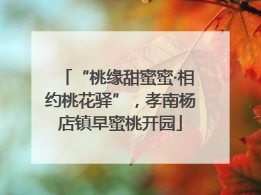 “桃缘甜蜜蜜·相约桃花驿”，孝南杨店镇早蜜桃开园