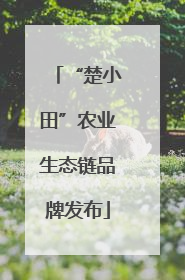 “楚小田”农业生态链品牌发布