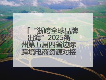 “浙跨全球品牌出海”2025衢州第五届四省边际跨境电商资源对接活动成功举办