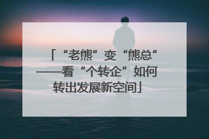 “老熊”变“熊总”——看“个转企”如何转出发展新空间