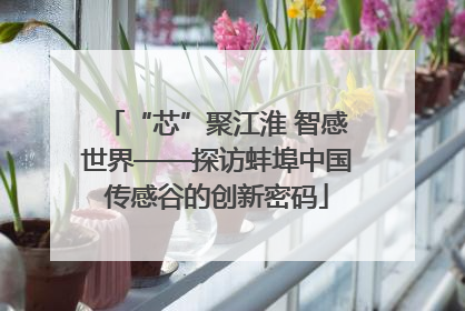 “芯”聚江淮 智感世界——探访蚌埠中国传感谷的创新密码