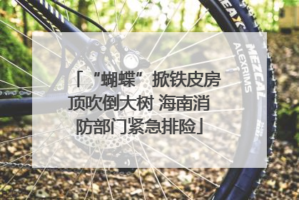 “蝴蝶”掀铁皮房顶吹倒大树 海南消防部门紧急排险