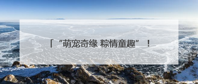 “萌宠奇缘 粽情童趣”！桃浦镇这场迎端午、庆六一主题活动“萌”翻全场～