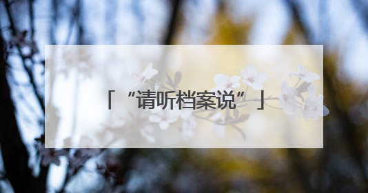 “请听档案说”
