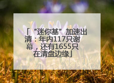 “迷你基”加速出清：年内117只谢幕，还有1655只在清盘边缘