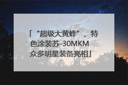“超级大黄蜂”、特色涂装苏-30MKM 众多明星装备亮相