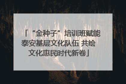 “金种子”培训班赋能泰安基层文化队伍 共绘文化惠民时代新卷