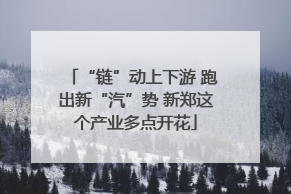 “链”动上下游 跑出新“汽”势 新郑这个产业多点开花