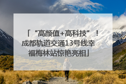 “高颜值+高科技”！成都轨道交通13号线幸福梅林站惊艳亮相