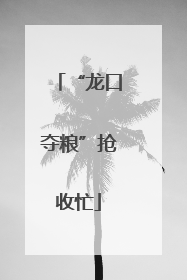 “龙口夺粮”抢收忙