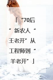 “70后”新农人“王老开”从工程师到“羊老开”