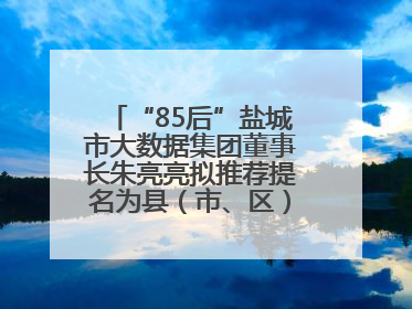 “85后”盐城市大数据集团董事长朱亮亮拟推荐提名为县（市、区）长人选