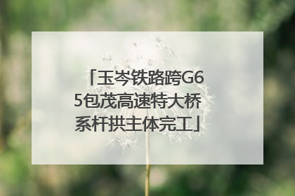 玉岑铁路跨G65包茂高速特大桥系杆拱主体完工