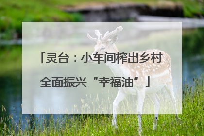 灵台：小车间榨出乡村全面振兴“幸福油”