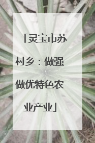 灵宝市苏村乡：做强做优特色农业产业
