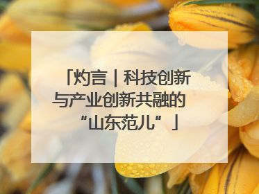灼言｜科技创新与产业创新共融的“山东范儿”