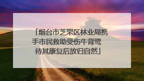 烟台市芝罘区林业局携手市民救助受伤牛背鹭 待其康复后放归自然
