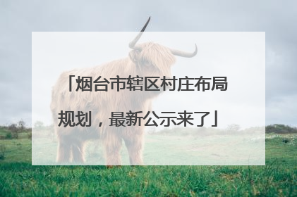 烟台市辖区村庄布局规划，最新公示来了