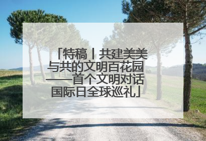 特稿丨共建美美与共的文明百花园——首个文明对话国际日全球巡礼